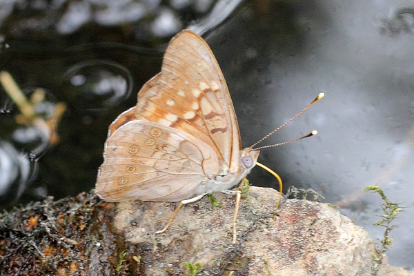 Image 400x300