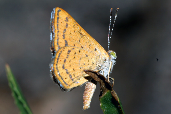 Image 400x300