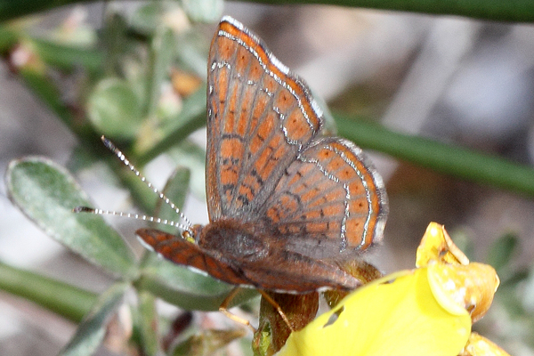 Image 400x300