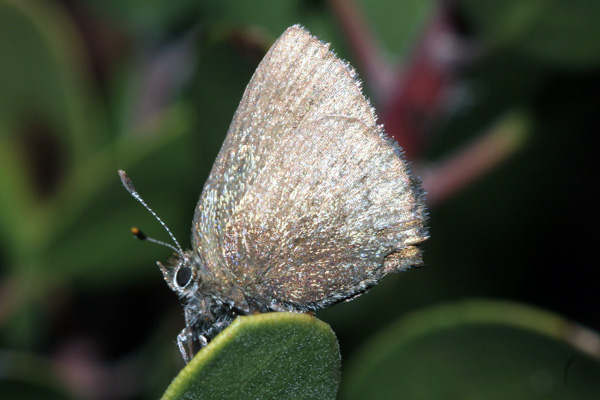 Image 400x300