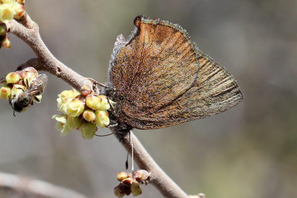 Image 400x300