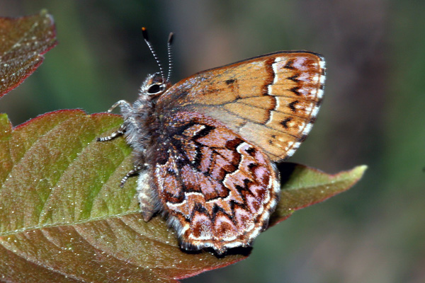 Image 400x300