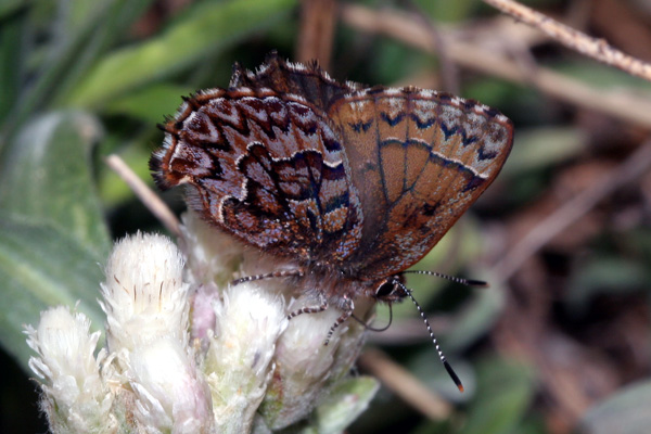 Image 400x300