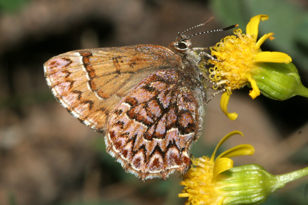 Image 400x300