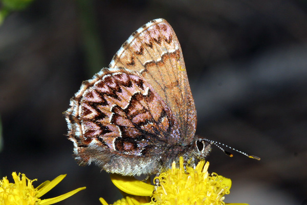 Image 400x300