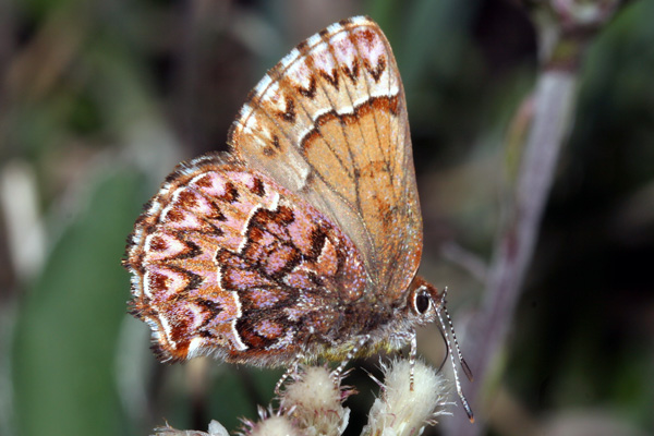 Image 400x300