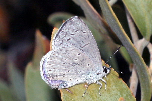 Image 400x300