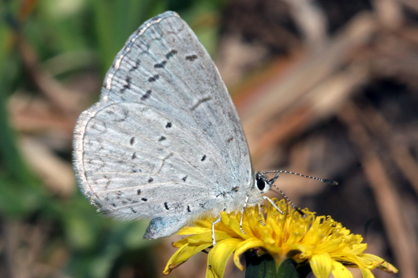 Image 400x300