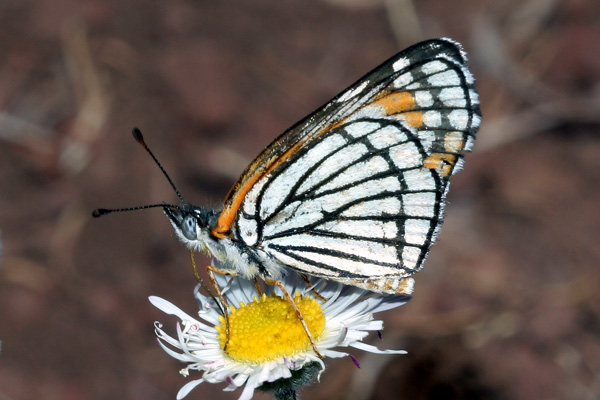 Image 400x300