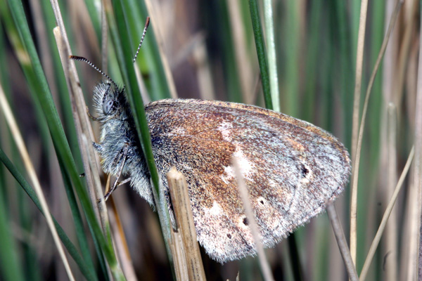 Image 400x300