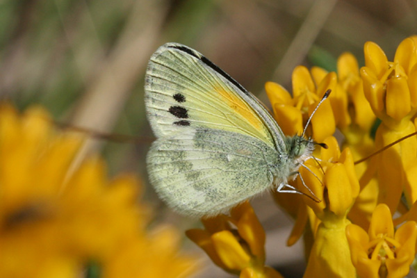 Image 400x300