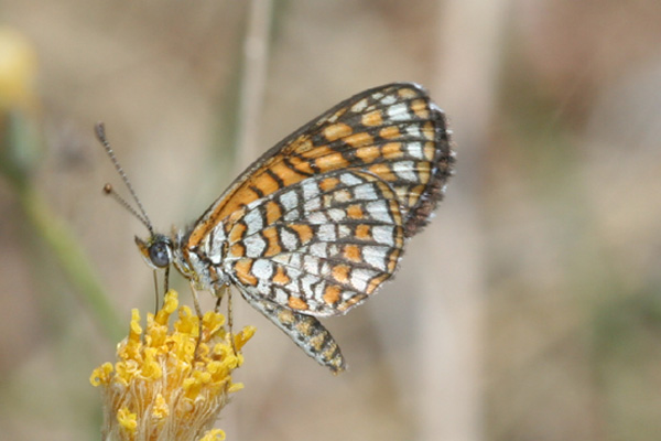 Image 400x300