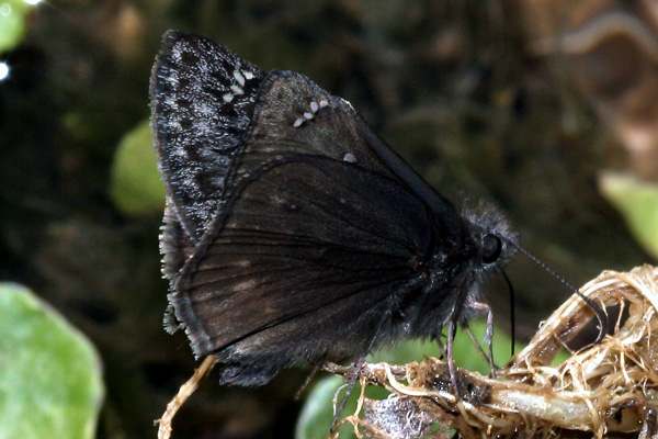 Image 400x300