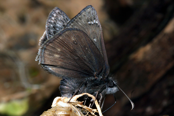 Image 400x300