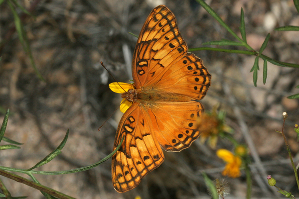 Image 400x300