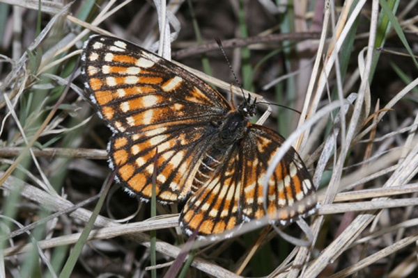Image 400x300