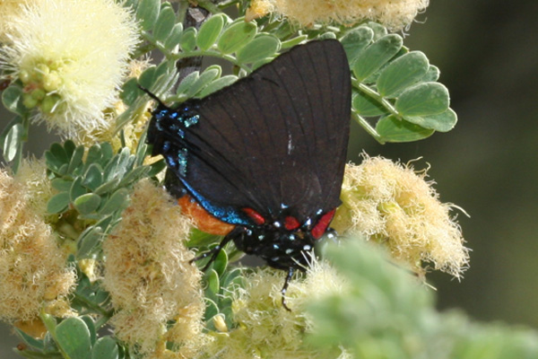 Image 400x300