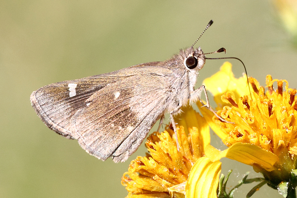 Image 400x300