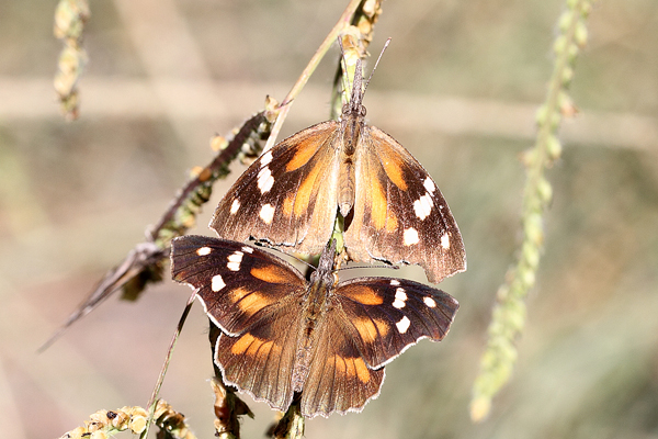 Image 400x300