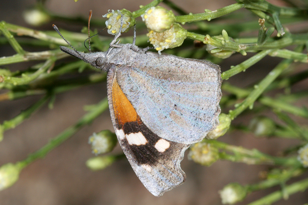 Image 400x300