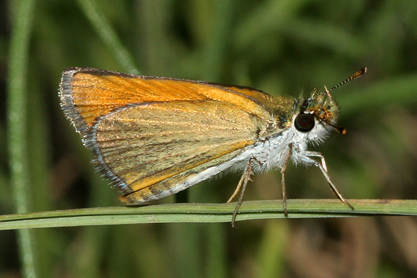 Image 400x300