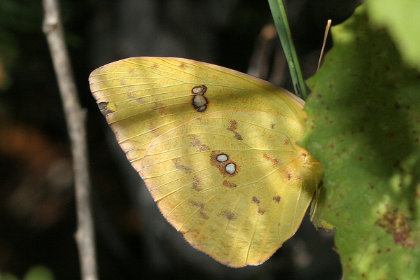 Image 400x300