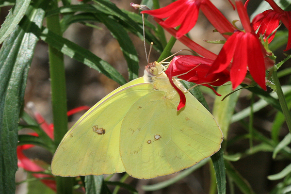 Image 400x300