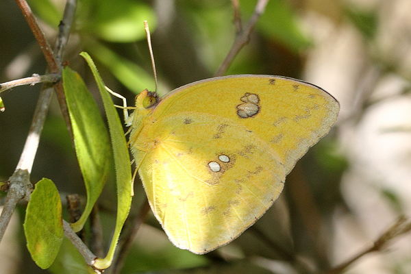 Image 400x300