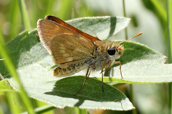 Image 400x300