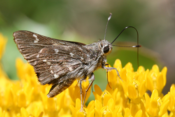 Image 400x300