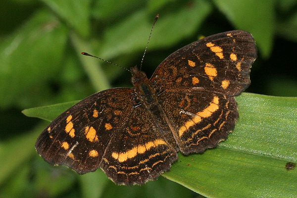 Image 400x300