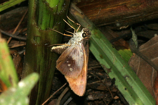 Image 400x300