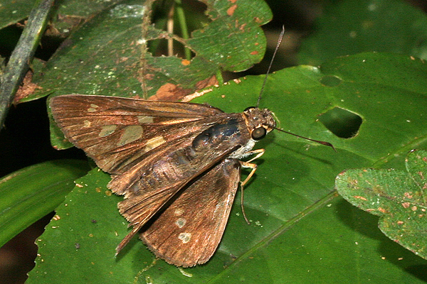 Image 400x300