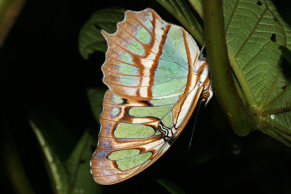 Image 400x300
