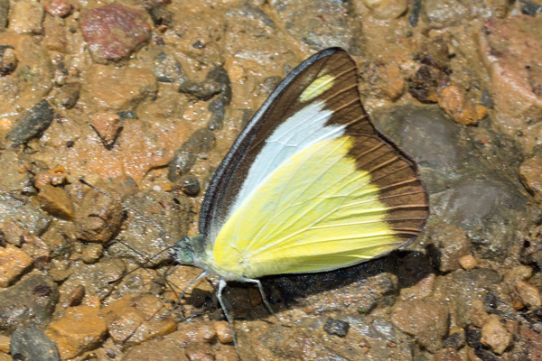 Image 400x300