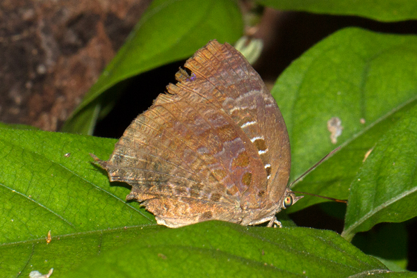 Image 400x300