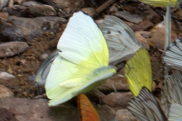 Image 400x300