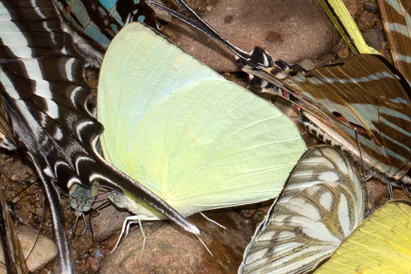 Image 400x300