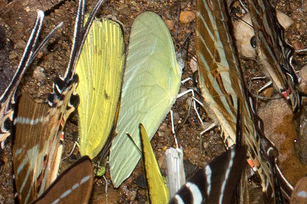 Image 400x300