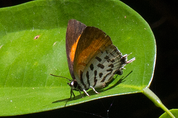 Image 400x300