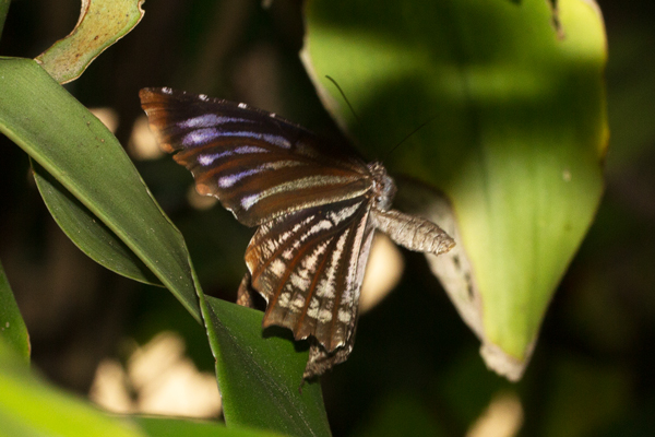 Image 400x300
