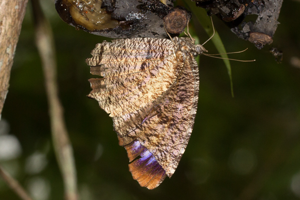 Image 400x300
