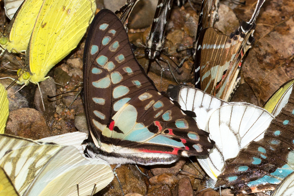Image 400x300