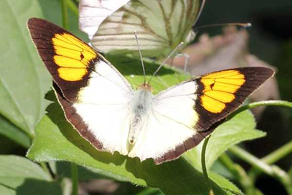 Image 400x300