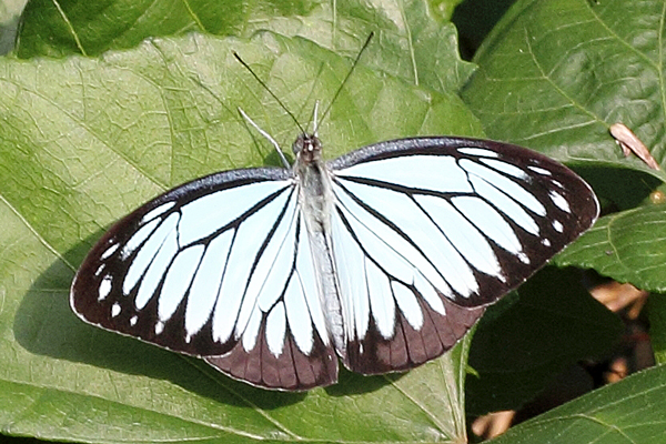 Image 400x300