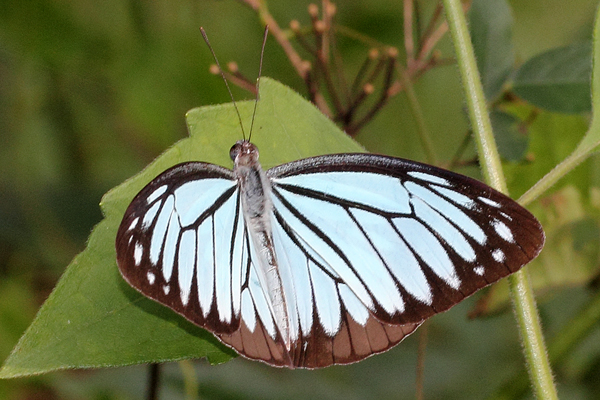 Image 400x300