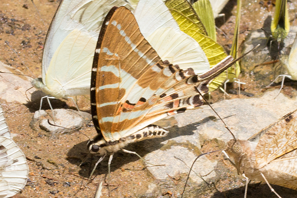 Image 400x300