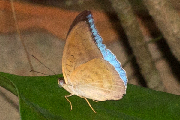 Image 400x300