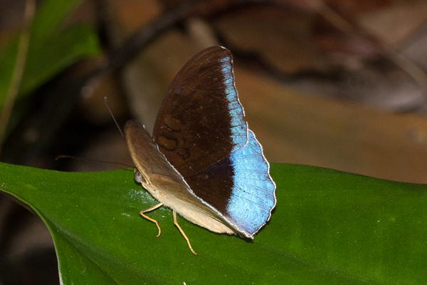 Image 400x300