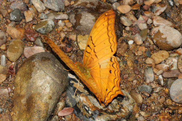 Image 400x300